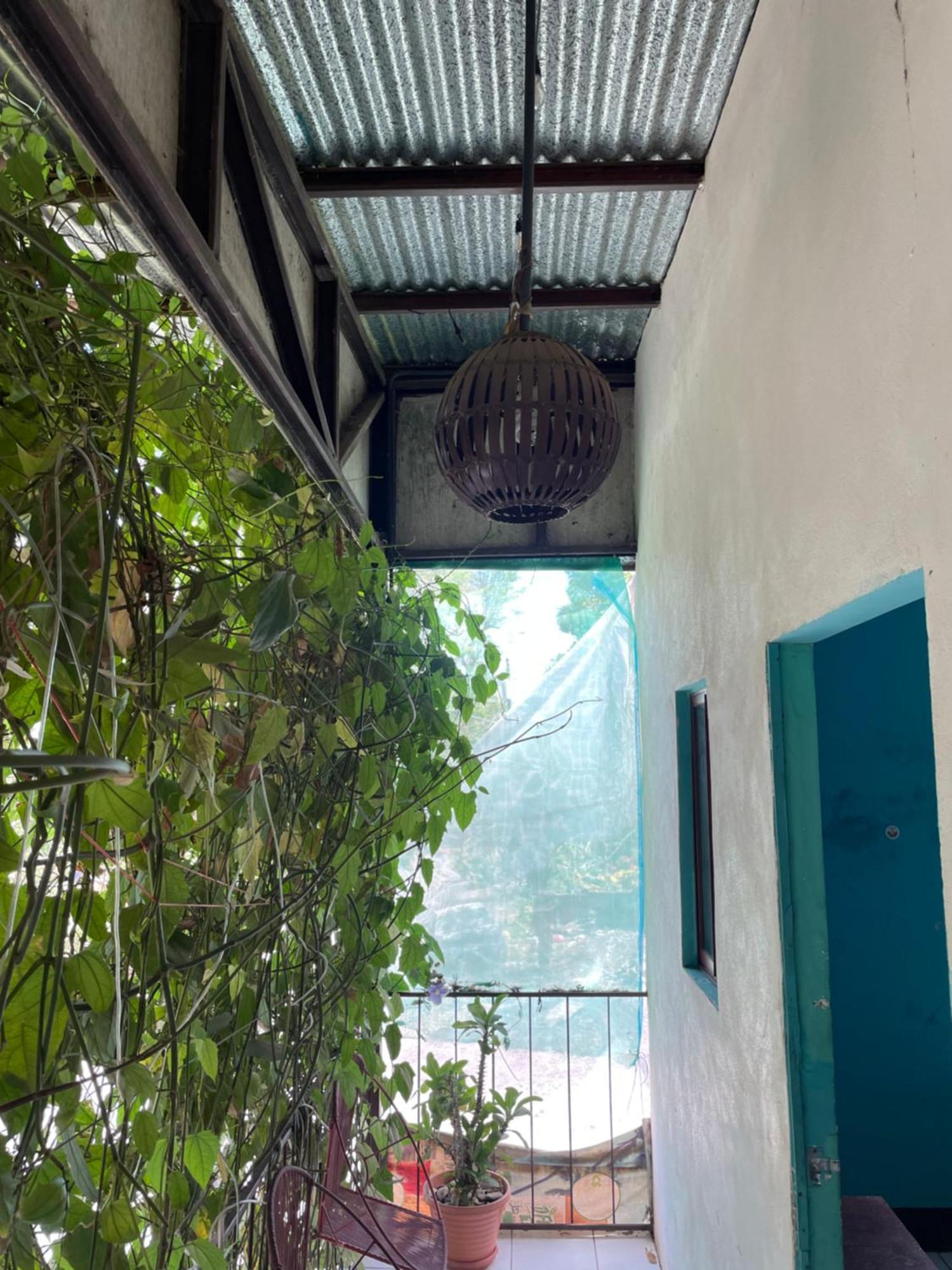 Hostal Isla Natal 모요갈파 외부 사진