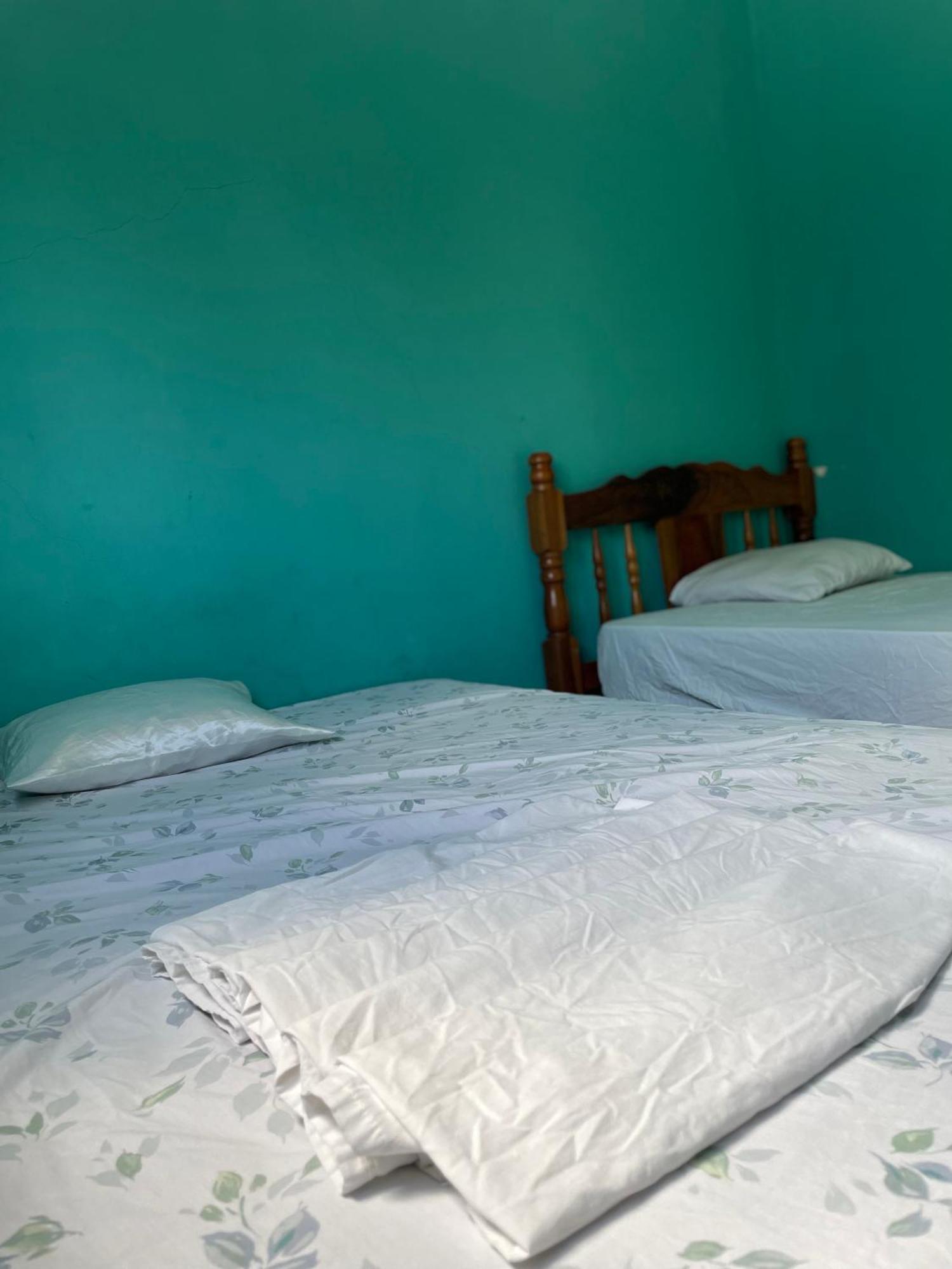 Hostal Isla Natal 모요갈파 외부 사진