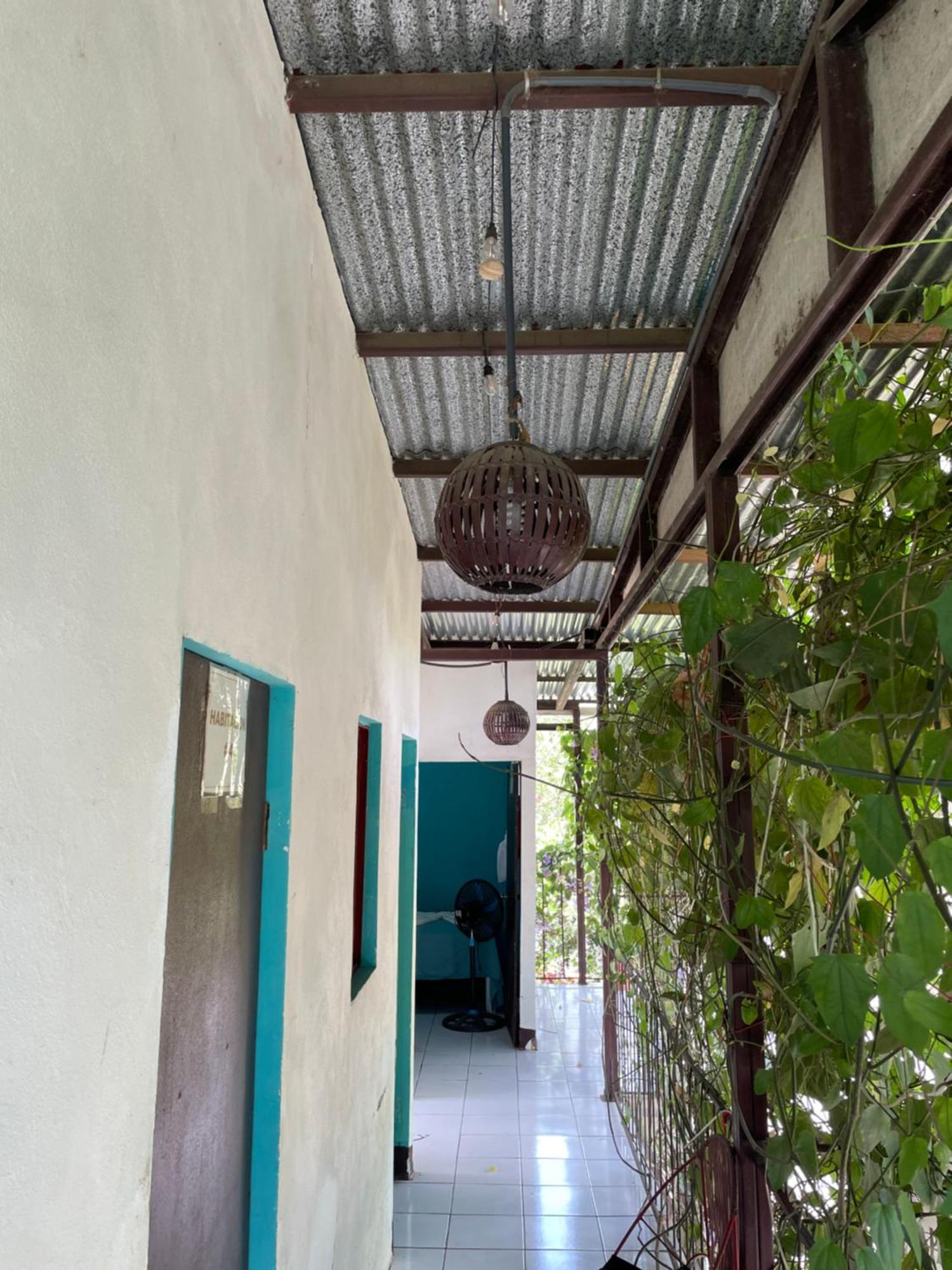 Hostal Isla Natal 모요갈파 외부 사진