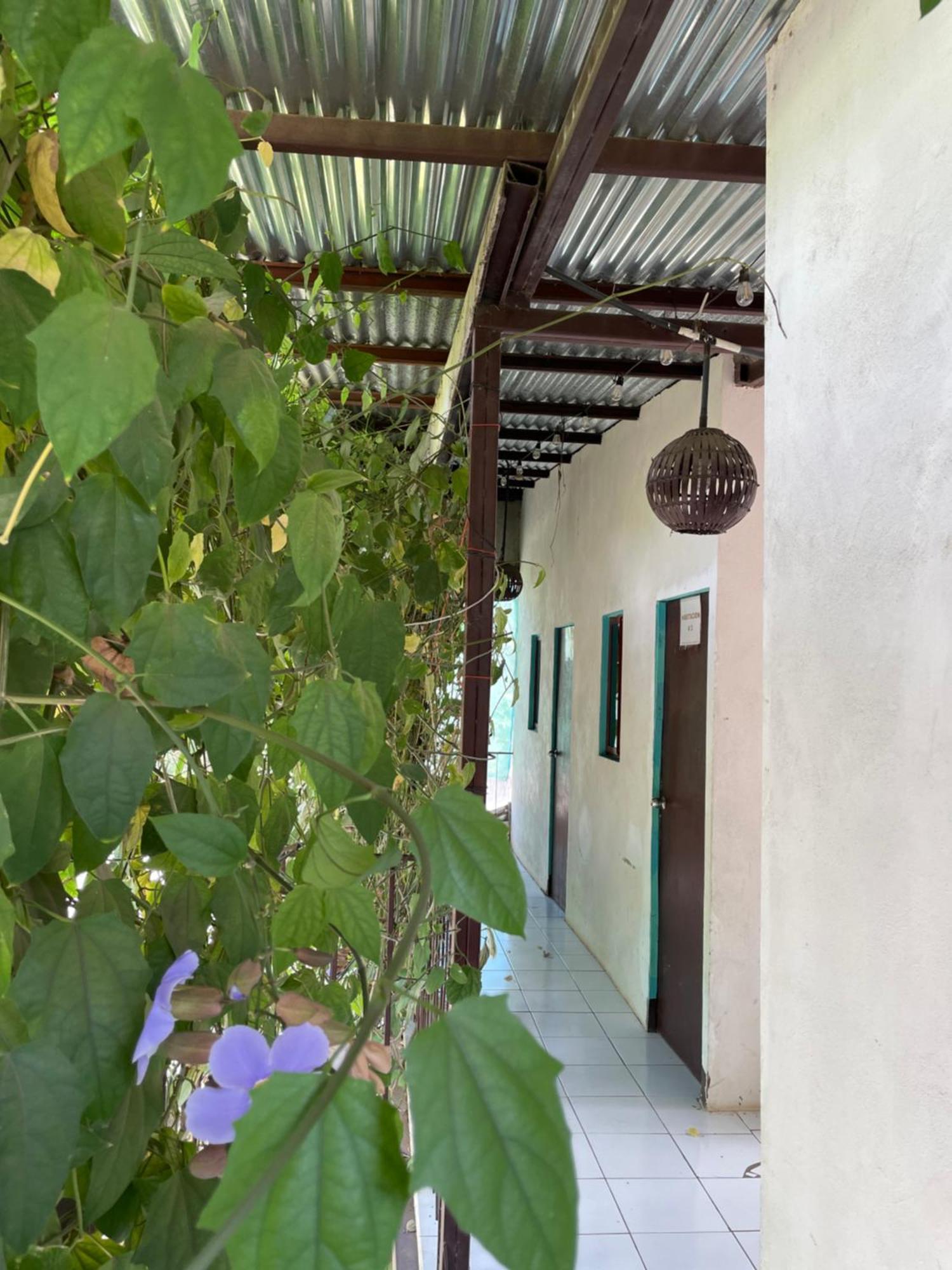 Hostal Isla Natal 모요갈파 외부 사진