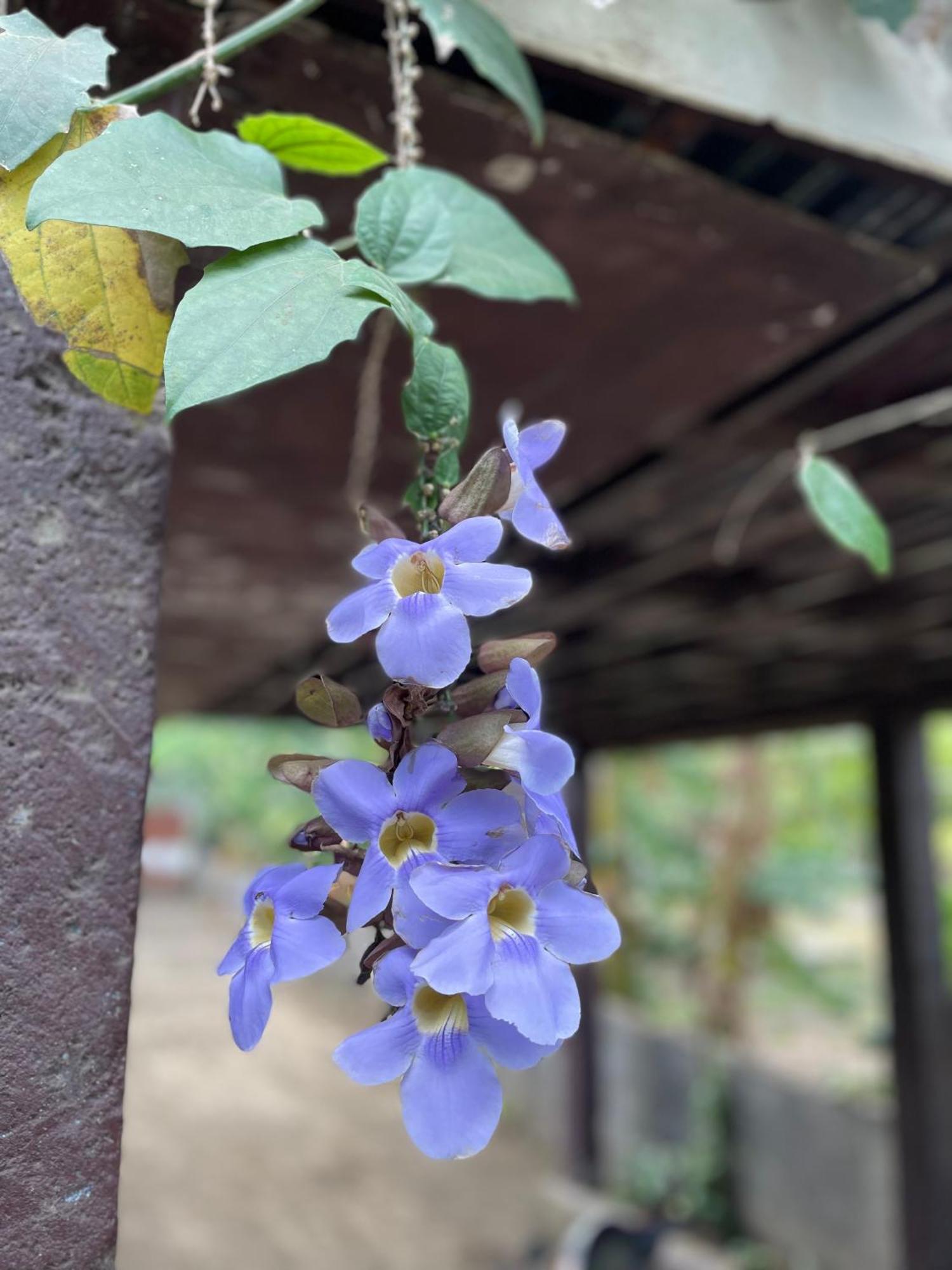 Hostal Isla Natal 모요갈파 외부 사진